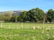 Mill House Plot, The Water Mill, Land For Sale