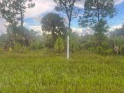 Miller St, Port Charlotte, Plot For Sale