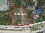 Mindanao Ave Ext Industrial Lot for Sale 4747 SQM