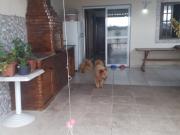 Minha casa