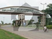 Ministry Of Commerce Employees Housing Society