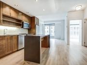 Minto Yorkville One Bedroom Suites Apartment for Rent