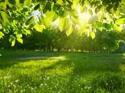 Mios 33380 Programme neuf terrain neuf à vendre