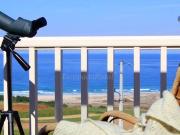 Mirador Das Areas