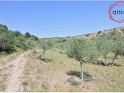 MIRANDA DE ARGA. SE VENDE FINCA RÚSTICA