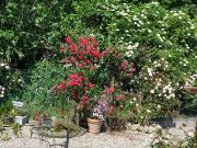 Mirepoix Vente Maison 09