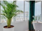 misceláneos en Venta en Orihuela Costa. ETRV T3961