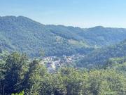 Mischwald mit Zufahrt und Aussicht