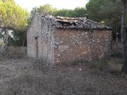 Misto, Vila do Bispo, Alma Verde