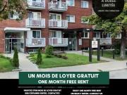 Mistral Immobilier