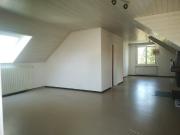 MIT TOLLEM SOMMERZIMMER FR BALKON & TIERLIEBHABER