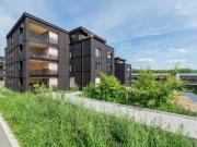 Mitten im Baumgarten im herrlich grünen Umfeld