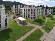 Mitten im Grünen mitten in Zürich