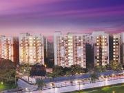 Miyapur 3 BHK Apartment For Sale Hyderabad