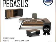 مكتب Pegasus أنيق وعصري