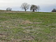 Mo,boonville, Plot For Sale