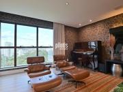 MOBILIADO VISTA LIVRE REFORMADO