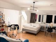 Möbiliertes 1Zimmer Apertment Dresden April September