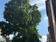 Möblierte Luxuswohnung in bevorzugter Lage von...