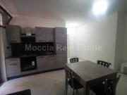 MOCCIA RISTRUTTURATO BILOCALE CON BOX AUTO IN PARCO AL