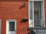 Modern 1 Bedroom Basement Suite – Prime Mississauga...