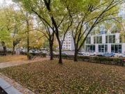Modern 2 room apartment in the green heart of Berlin,... Modern 2 room apartment in the green heart of Berlin,...