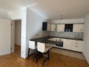 Modern 2 rooms apartment May June 2026 for rent in Dresden