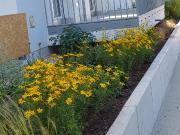 Modern and quiet suite in Frankfurt am Main, Frankfurt...