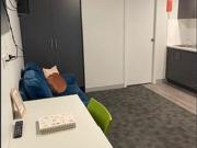 Modern and unique furnished studio apartment