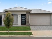 Modern Comfort Meets the Rhythm of Coastal Life