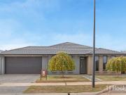 Modern Family Home in Prime Location Opposite Scenic Reserve