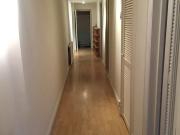 Modern Garden Flat, perfect for a couple