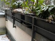 Modern house with garden in Dahlem, Berlin Amsterdam...