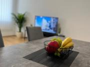 Modern jewel in a central location, Vienna Amsterdam...