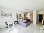 Modern möbliertes 1 Zimmer Apartment mit großem Balkon...