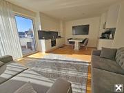 Modern Neuwertig Hell