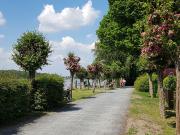 modern, nice appartement close to the Havel, Berlin...