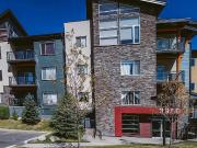 Modern pet friendly Apartment close to University and...