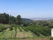 modern, secure 1 bed double volume a.