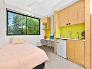 MODERN STUDIOS, DIRECTLY ACROSS FROM UNSW ENTRANCE RENT...