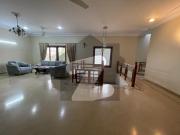 Modern & Stylish Bungalow for Rent at prime Location DHA... Modern & Stylish Bungalow for Rent at prime Location DHA...