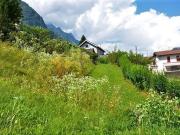 Modern new build single family house with garden /...