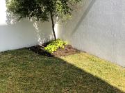 Moderna residencia con alberca idea familia grande 6...
