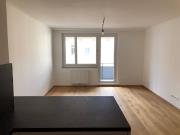 Moderne 1 Zimmer Wohnung mit Balkon in Top Lage in Döbling