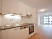 Moderne 1 Zimmer Wohnung nahe Donau