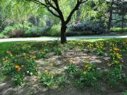 Moderne 2 Zimmer Wohnung in Parklage – ideal für Singles...