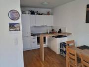 Moderne 2 Zimmer Wohnung in der Gaswerkgasse, Salzburg –...