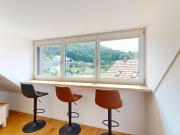 moderne 3.5 Zimmerwohnung mit eigenem Waschturm und Carport