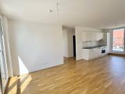 Moderne 3 Zi Wohnung mit zwei Terrassen nahe...