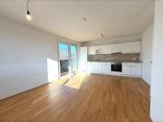 Moderne 3 Zimmer Wohnung mit Süd West Balkon